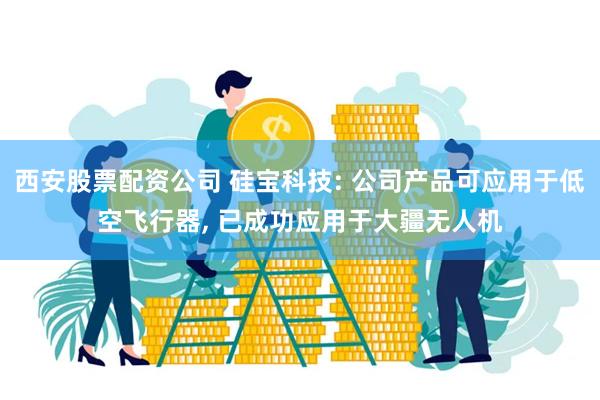 西安股票配资公司 硅宝科技: 公司产品可应用于低空飞行器, 已成功应用于大疆无人机