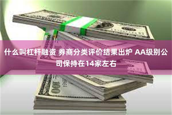 什么叫杠杆融资 券商分类评价结果出炉 AA级别公司保持在14家左右