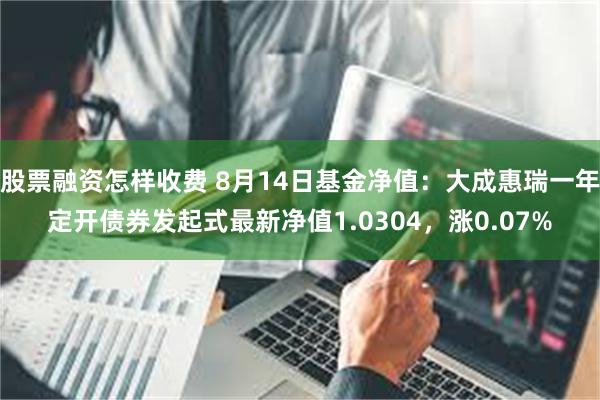 股票融资怎样收费 8月14日基金净值：大成惠瑞一年定开债券发起式最新净值1.0304，涨0.07%