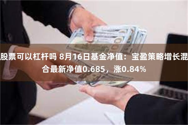 股票可以杠杆吗 8月16日基金净值：宝盈策略增长混合最新净值0.685，涨0.84%