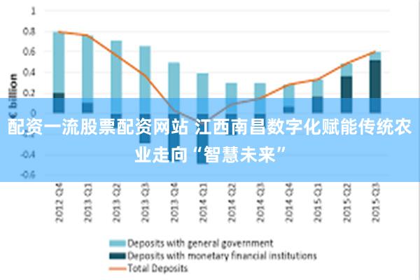 配资一流股票配资网站 江西南昌数字化赋能传统农业走向“智慧未来”