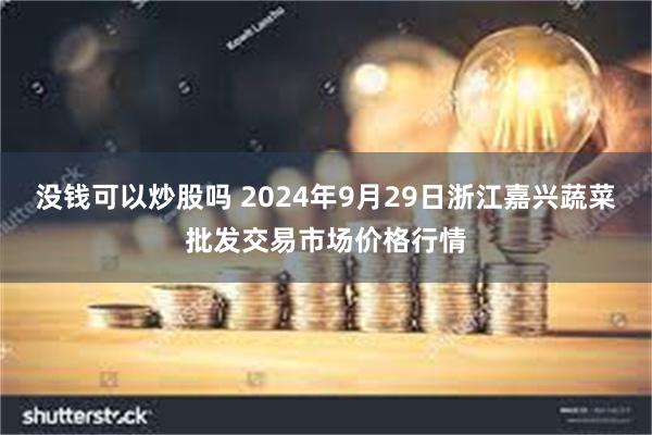 没钱可以炒股吗 2024年9月29日浙江嘉兴蔬菜批发交易市场价格行情