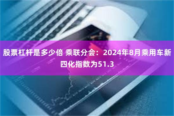 股票杠杆是多少倍 乘联分会：2024年8月乘用车新四化指数为51.3